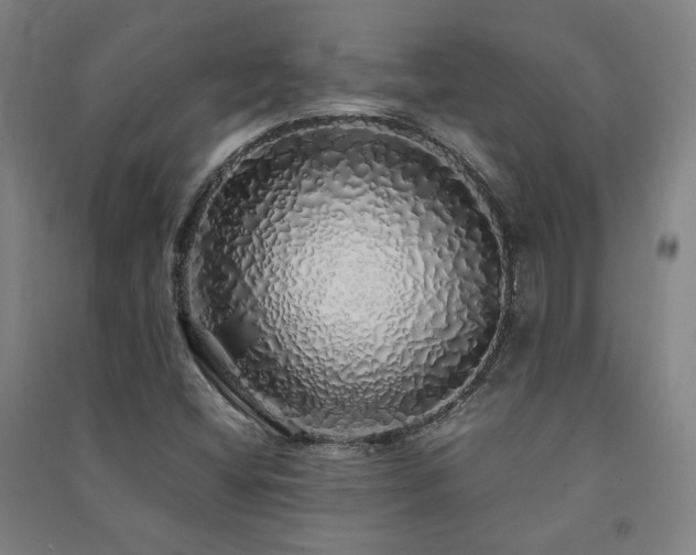 X0000091491404200708161429