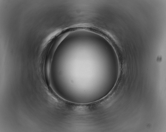 X0000091491406200708161429