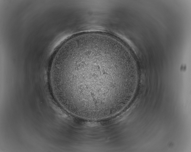 X0000091491407200708161429