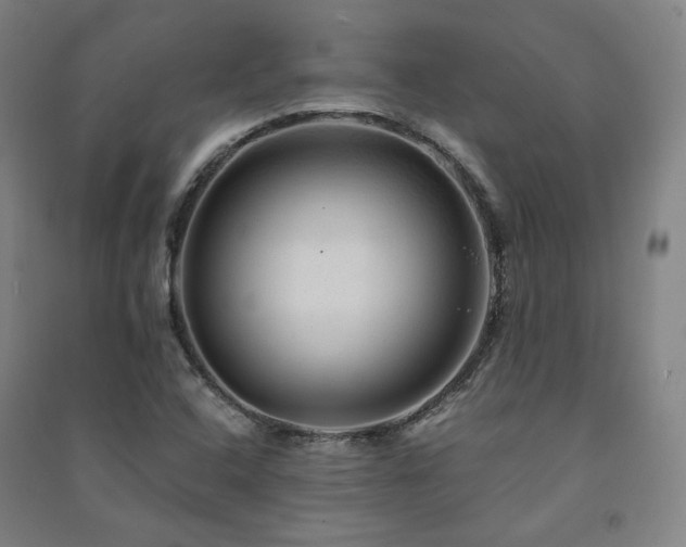 X0000091491408200708161429