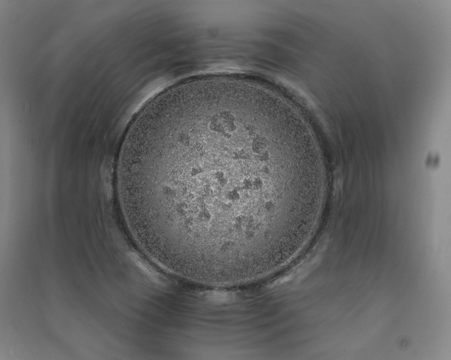 X0000091491409200708161429