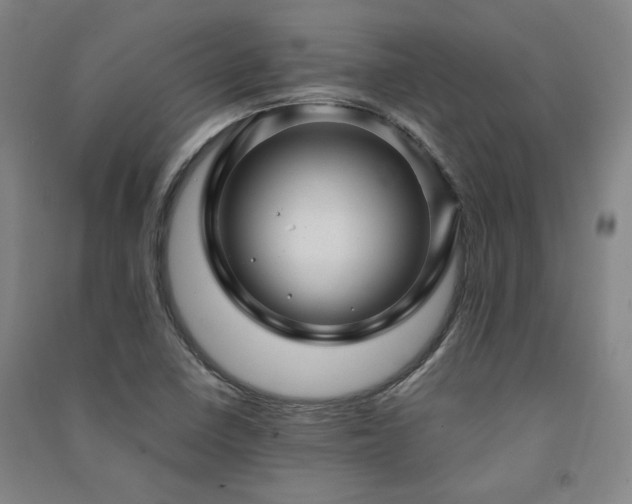 X0000091491410200708161429