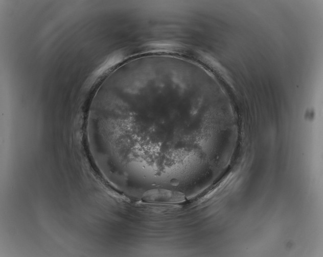 X0000091491411200708161429