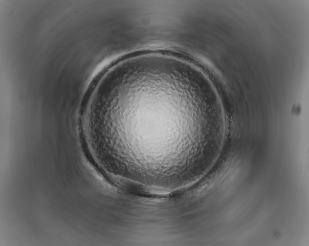 X0000091491412200708161429
