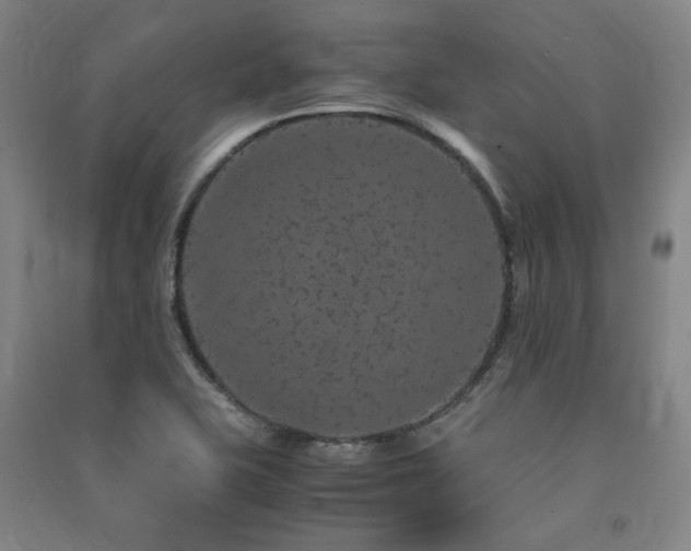 X0000091491415200708161429