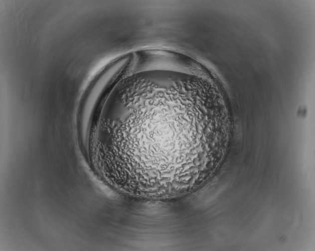 X0000091491416200708161429