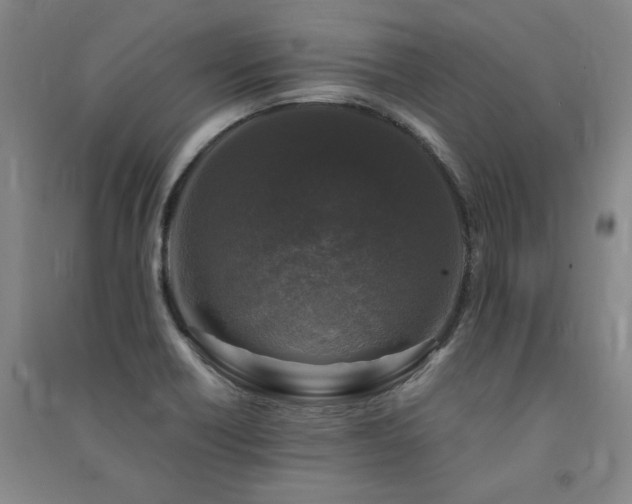 X0000091491418200708161430
