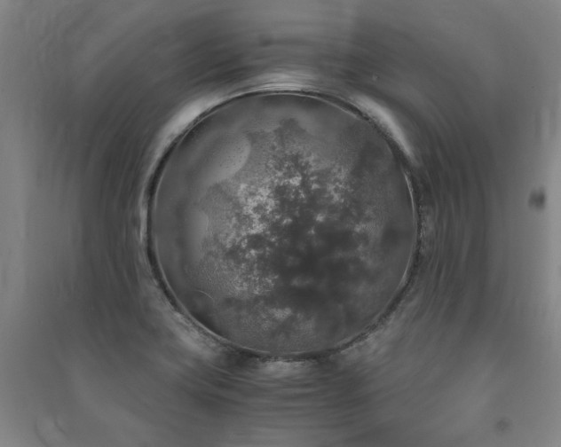 X0000091491419200708161430