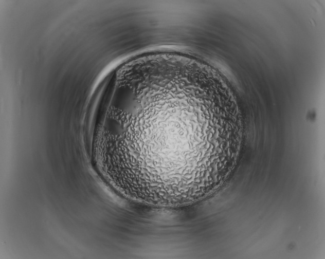 X0000091491420200708161430