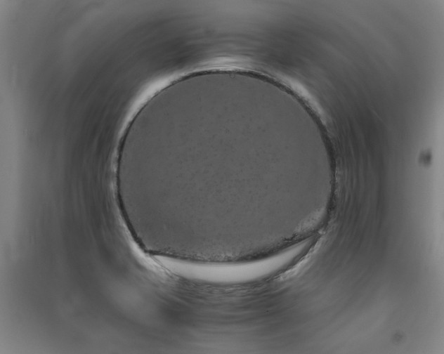 X0000091491421200708161430