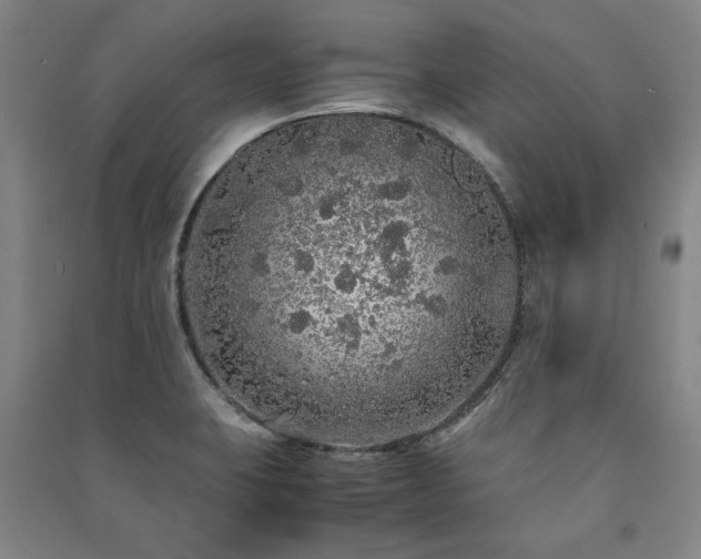 X0000091491423200708161430