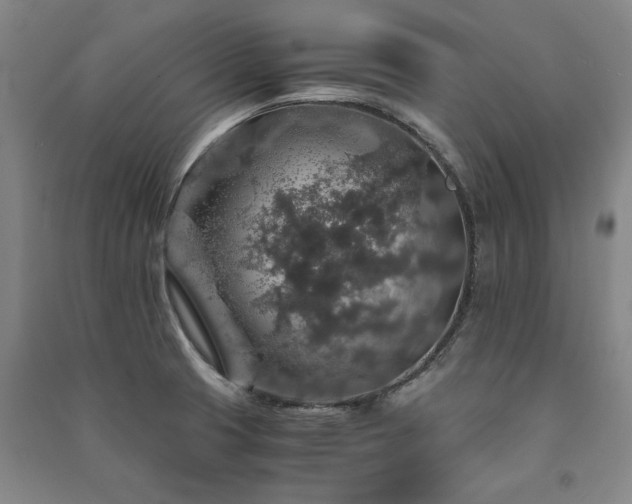 X0000091491425200708161430