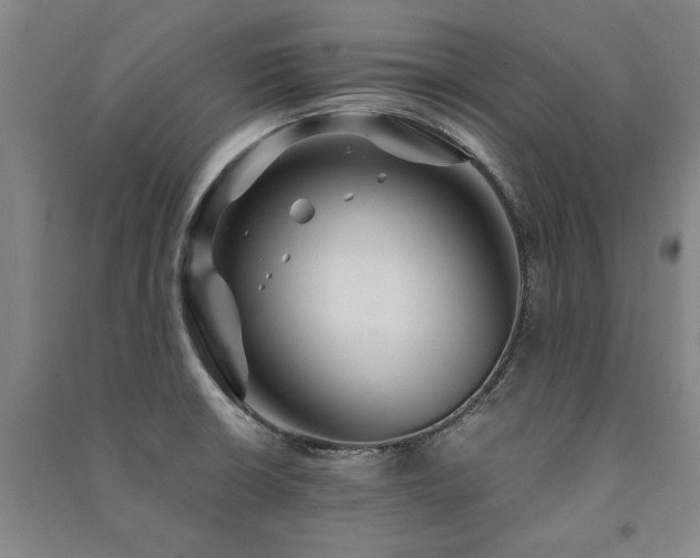 X0000091491426200708161430