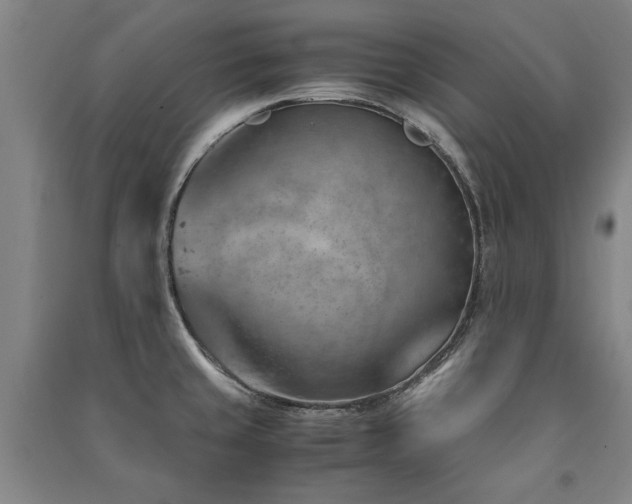 X0000091491429200708161430