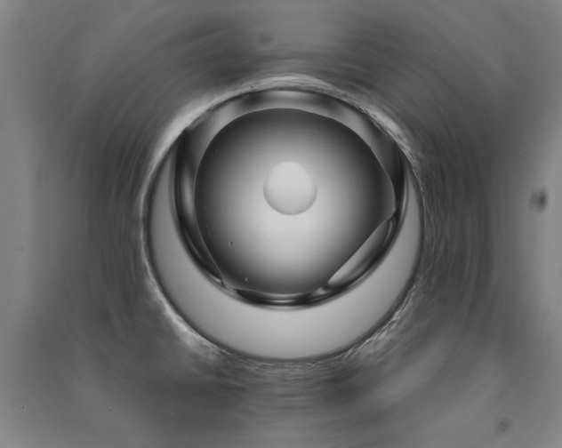 X0000091491430200708161430