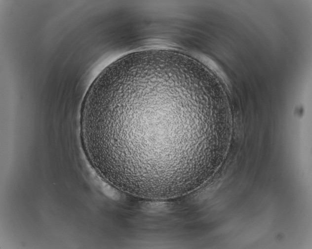 X0000091491431200708161430