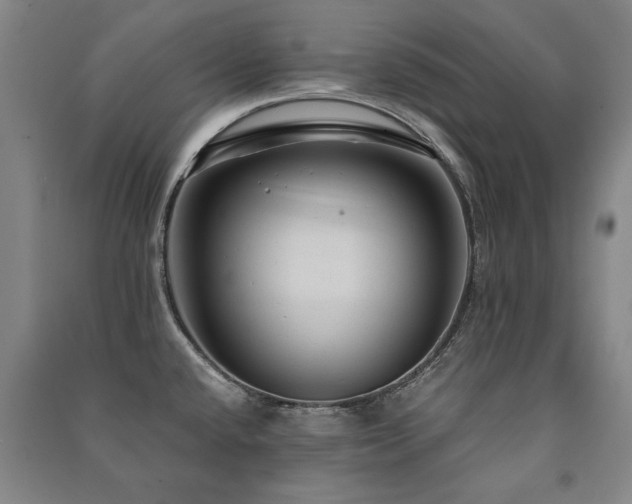 X0000091491432200708161430