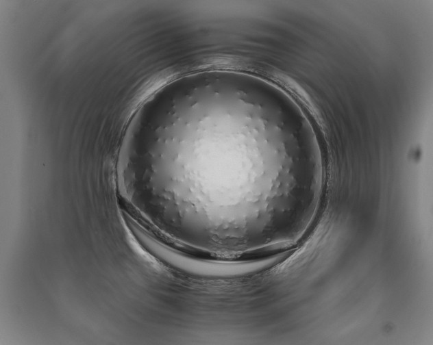 X0000091491433200708161430