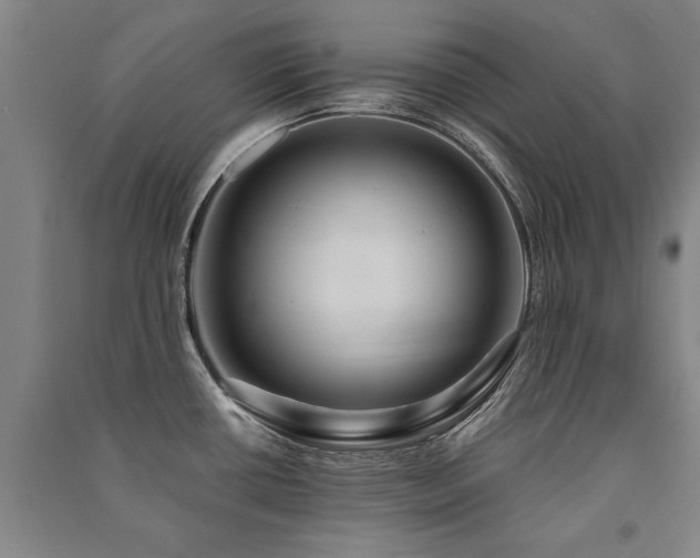 X0000091491434200708161430