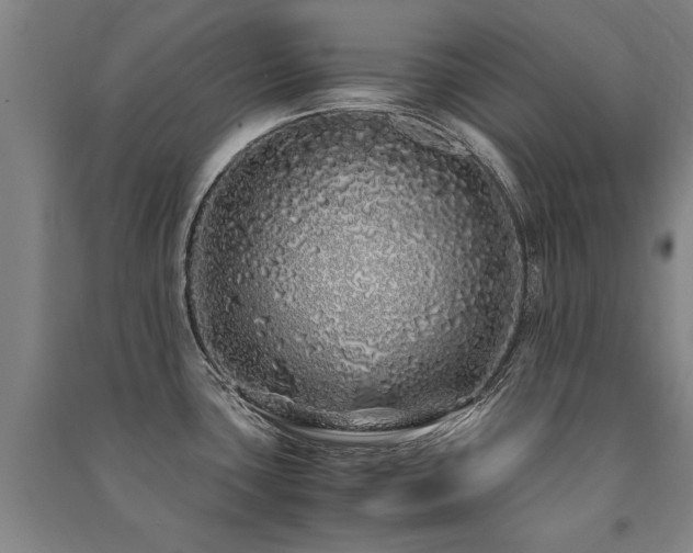 X0000091491435200708161430