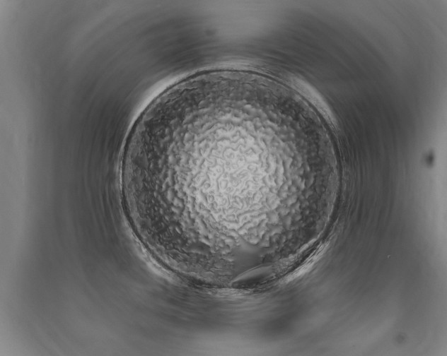 X0000091491436200708161430