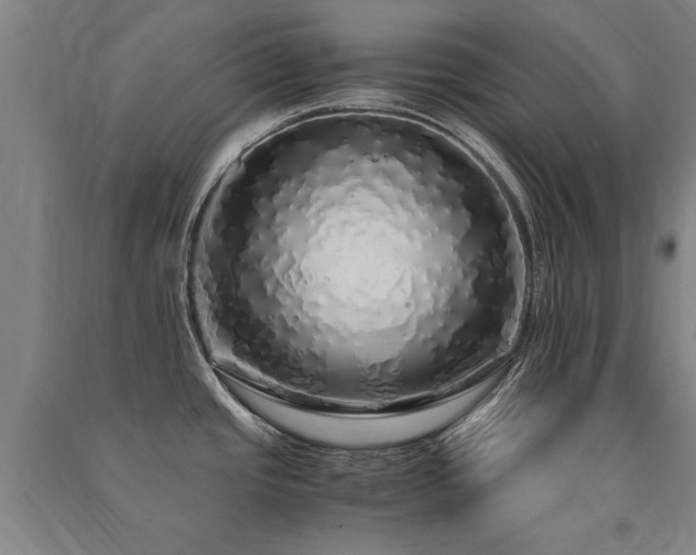 X0000091491437200708161430
