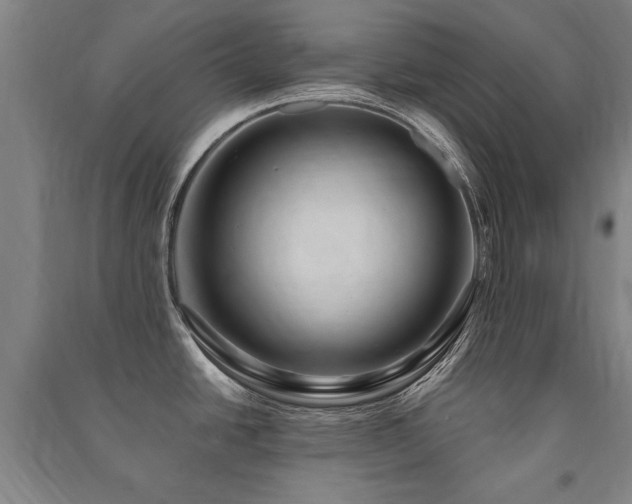 X0000091491438200708161430