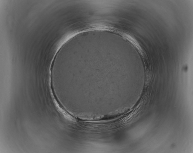 X0000091491439200708161430