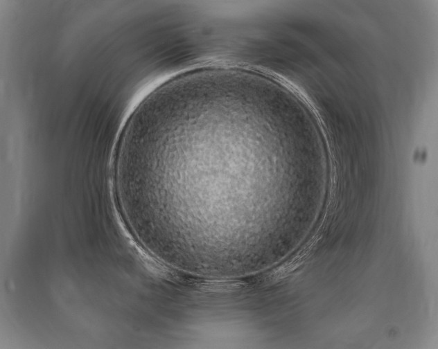 X0000091491440200708161430