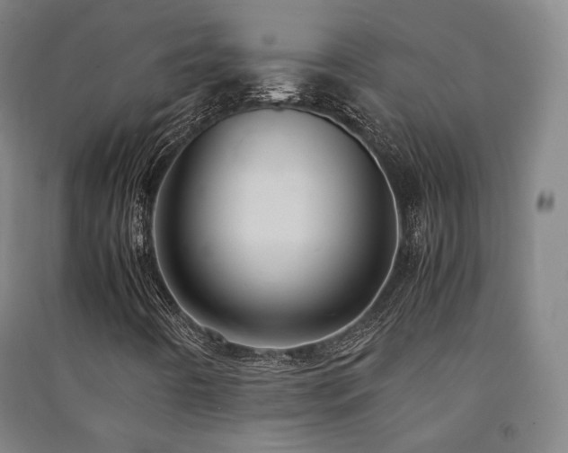 X0000091491442200708161429