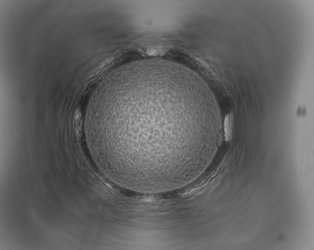 X0000091491443200708161429