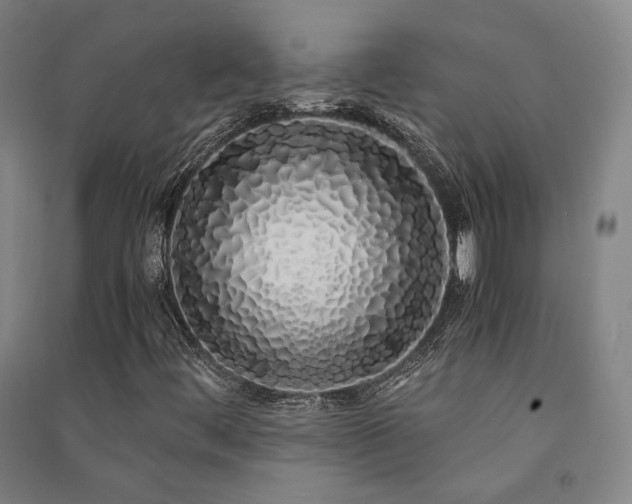 X0000091491444200708161429