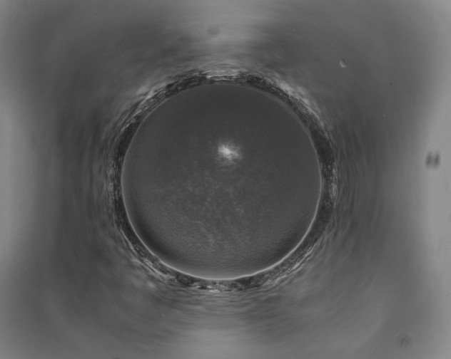 X0000091491445200708161429