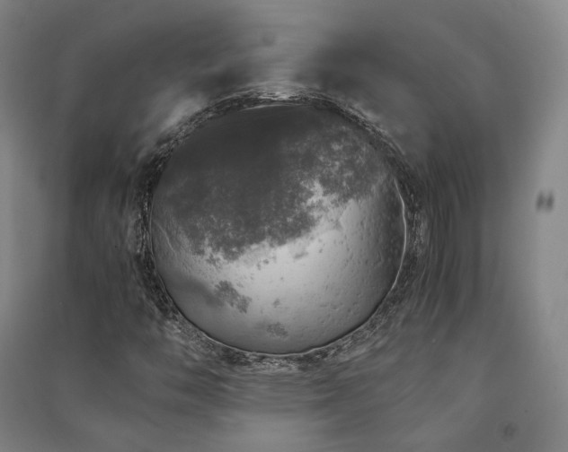 X0000091491446200708161429