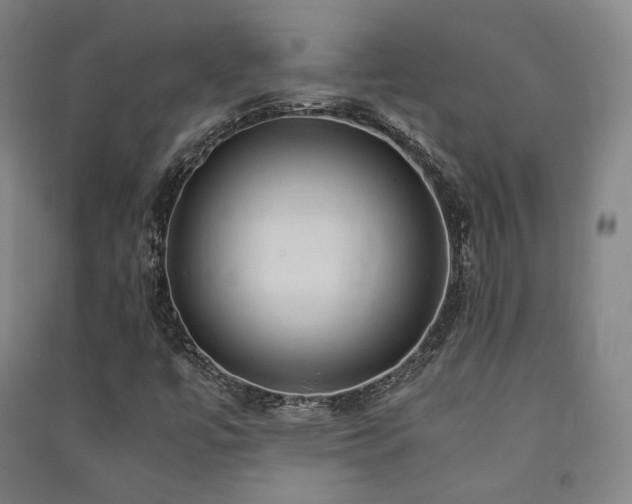 X0000091491447200708161429