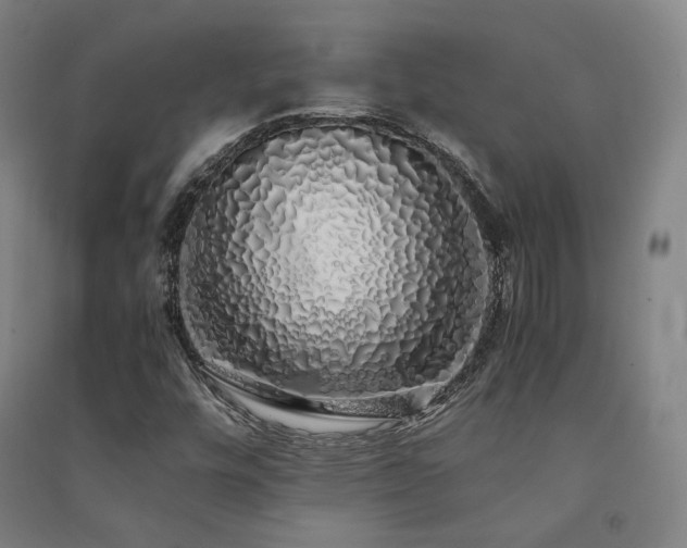 X0000091491448200708161429