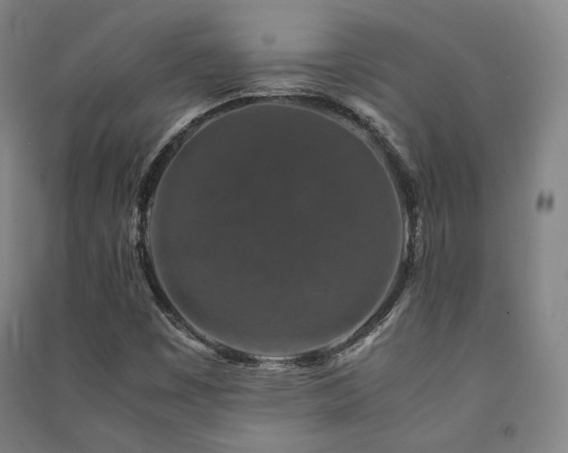 X0000091491449200708161429