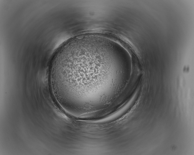 X0000091491450200708161429