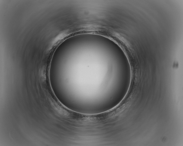 X0000091491451200708161429