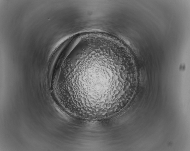 X0000091491452200708161429