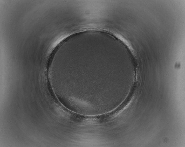 X0000091491453200708161429