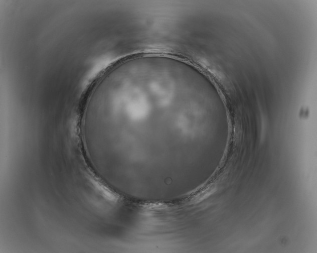 X0000091491454200708161429