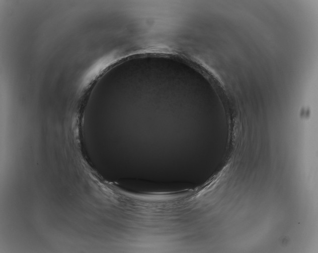 X0000091491455200708161429
