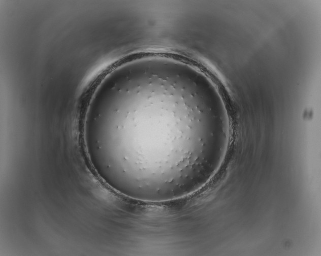 X0000091491456200708161429