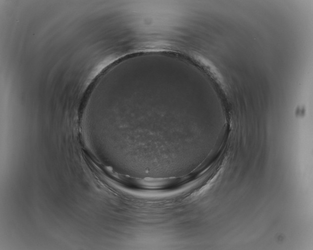 X0000091491457200708161429