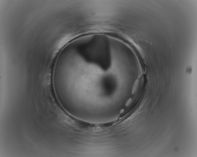 X0000091491459200708161429