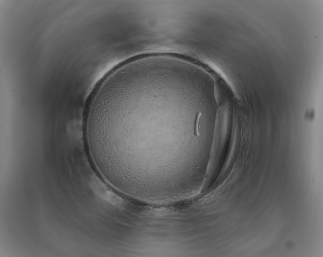 X0000091491460200708161429