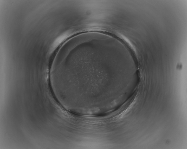 X0000091491461200708161429