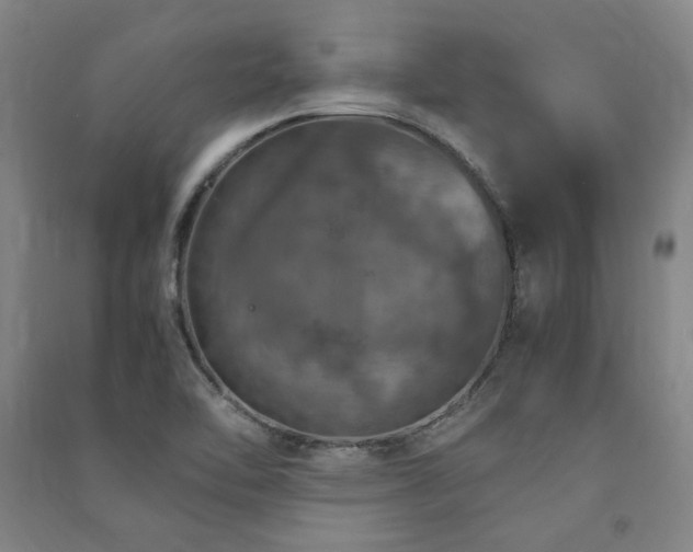 X0000091491462200708161429
