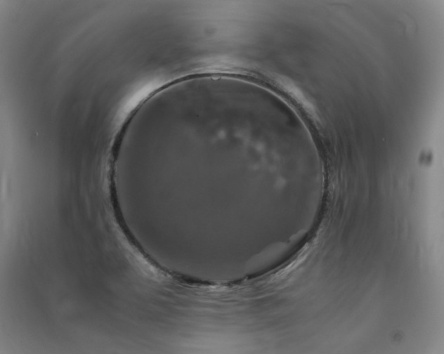 X0000091491463200708161429